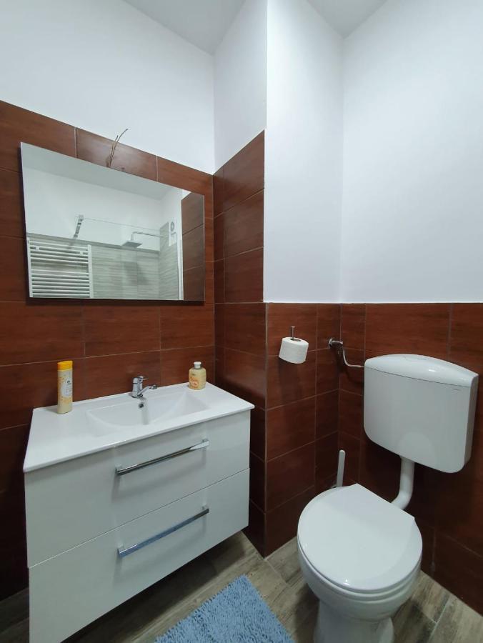 Petrosani Camere De Inchiriat - Hotel Petroshani Srl Petroşani Exterior foto