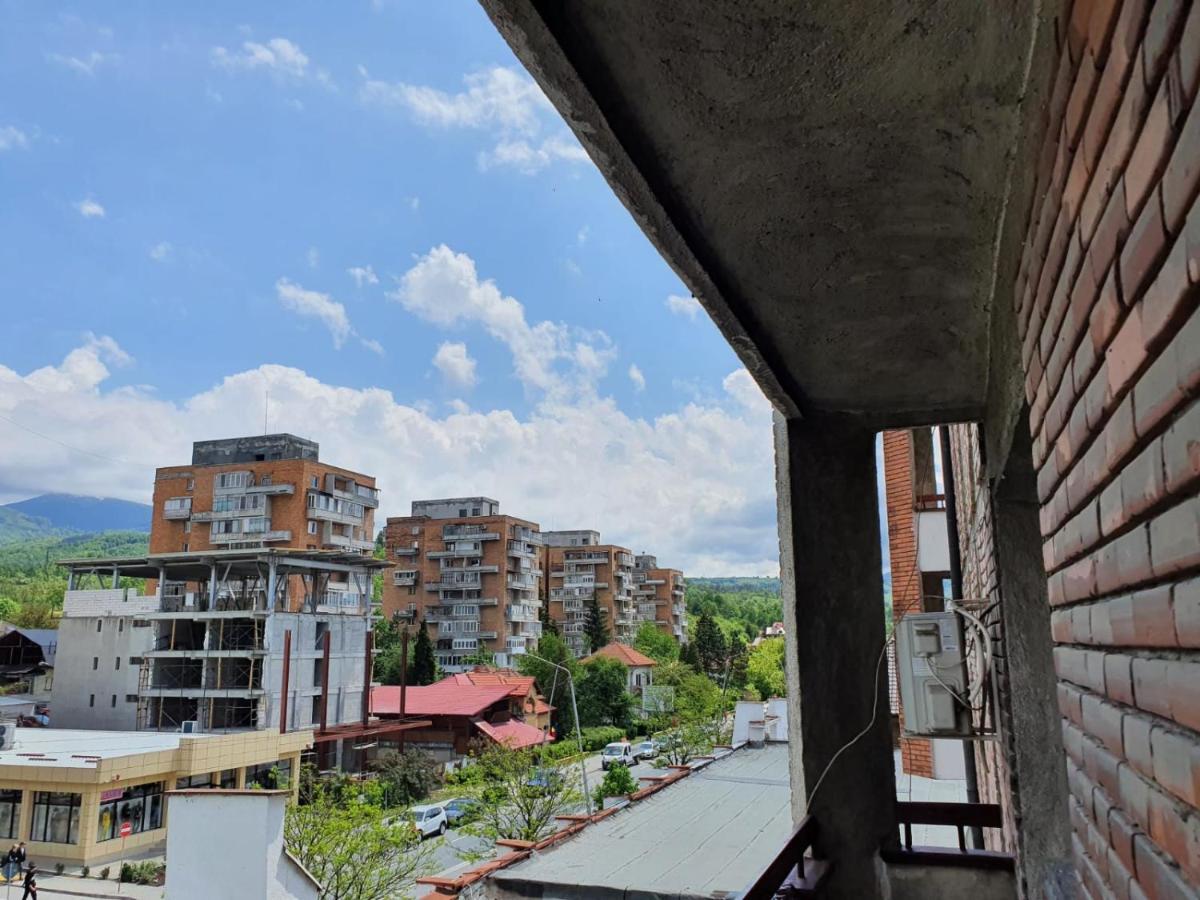 Petrosani Camere De Inchiriat - Hotel Petroshani Srl Petroşani Exterior foto